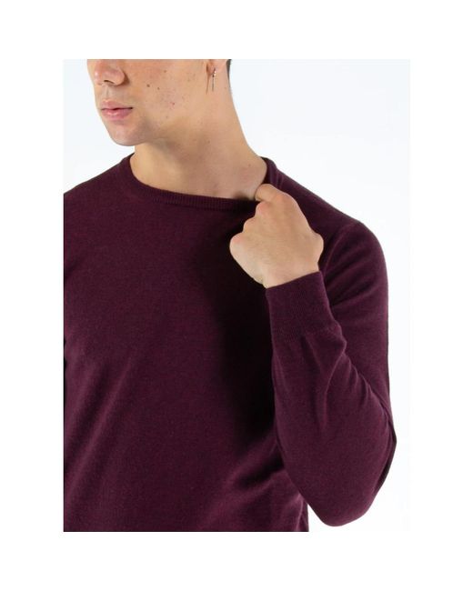 Kangra Purple Round-Neck Knitwear for men