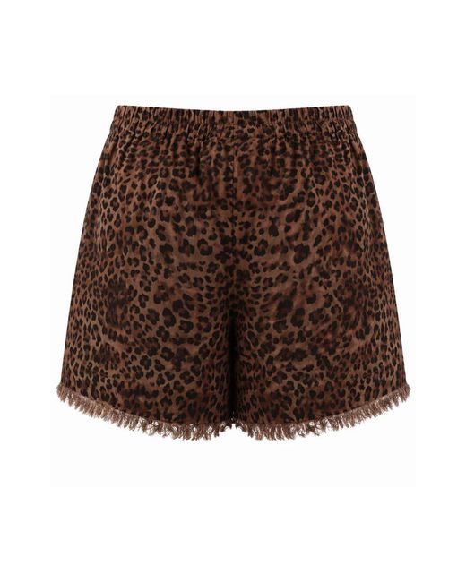 Mc2 Saint Barth Brown Short Shorts