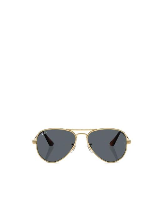 Ray-Ban Gray Sunglasses