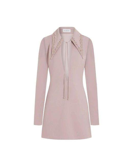 16Arlington Imre Mini Jurk in het Pink