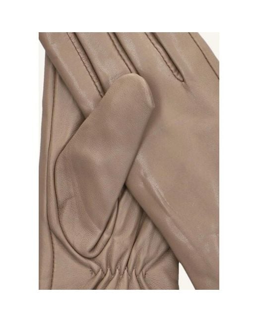 Notre-v Taupe Elegante Handschoenen Voor Vrouwen in het Brown