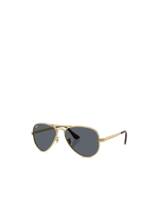 Ray-Ban Gray Sunglasses