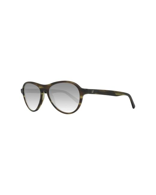WEB EYEWEAR Brown Sunglasses