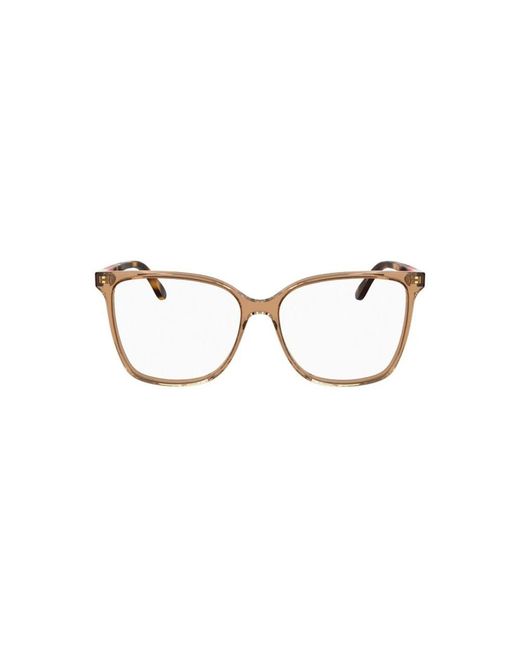 Lacoste Brown Glasses