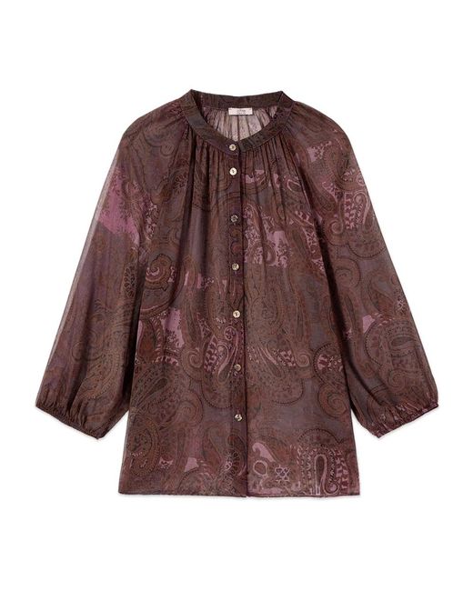Shirts Oltre de color Brown