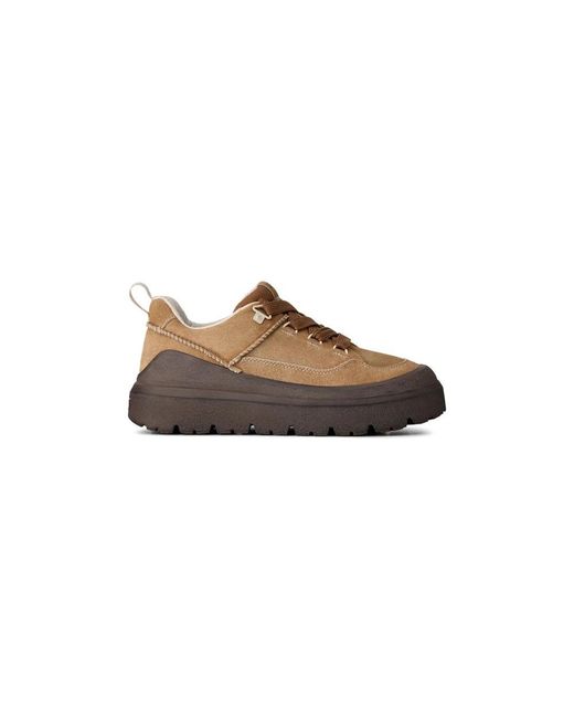 Ugg Sneakers in het Brown voor heren