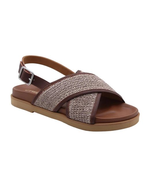 CTWLK Brown Flat Sandals
