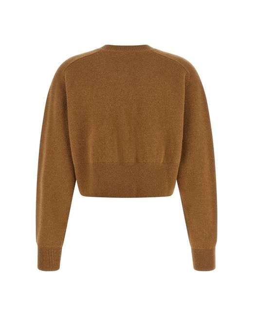 Elisabetta Franchi Brown Cardigans