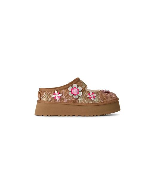 Ugg Ballerinas in het Brown
