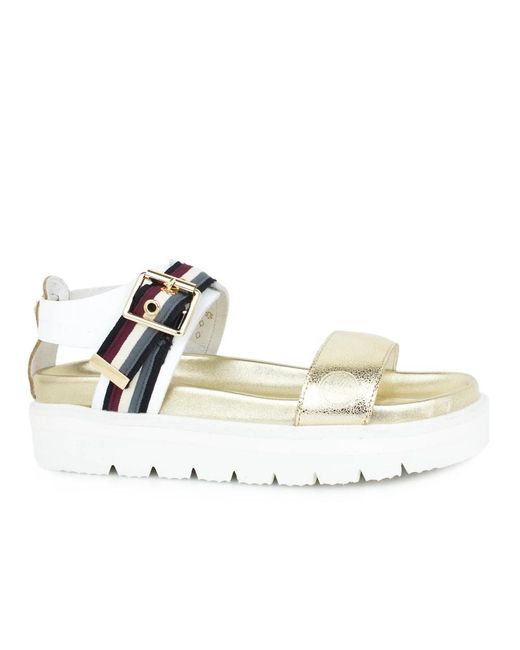 Colmar Metallic Wedges
