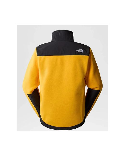 Winter Jackets The North Face de hombre de color Yellow