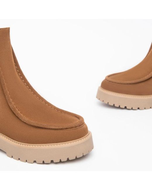 Nero Giardini Brown Chelsea boots mit doppeltem elastik in kastanienbraunem wildleder