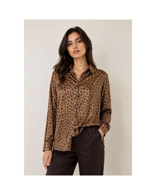 Imperial Brown Shirts