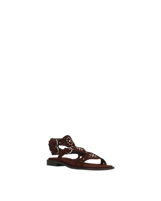 Flat Sandals Ash en coloris Brown