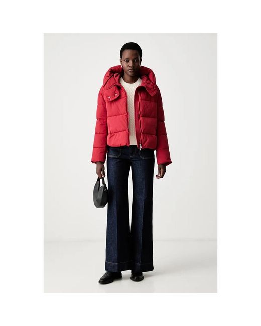 Winter Jackets Pinko de color Red