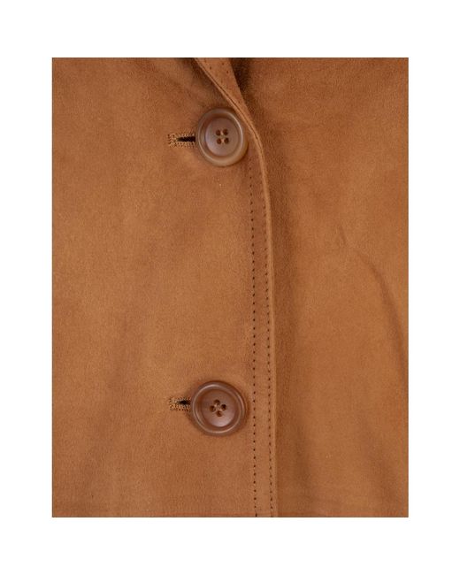 Jackets > blazers Ermanno Scervino en coloris Brown