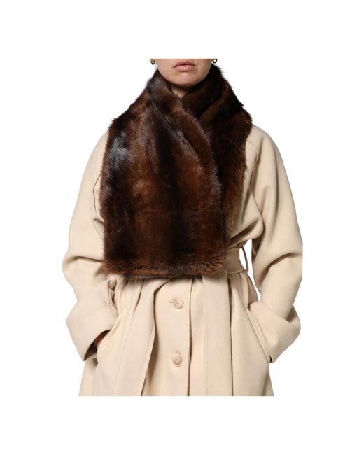 Dolce & Gabbana Brown Accessories