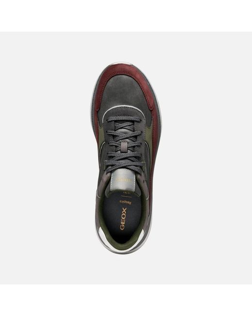 Geox Brown Sneakers for men