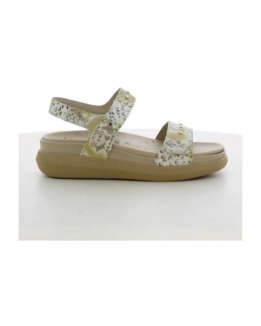 Wedges Mobils de color Green