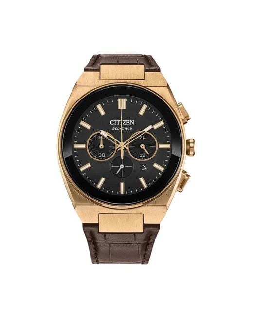 Citizen Metallic Watches for men