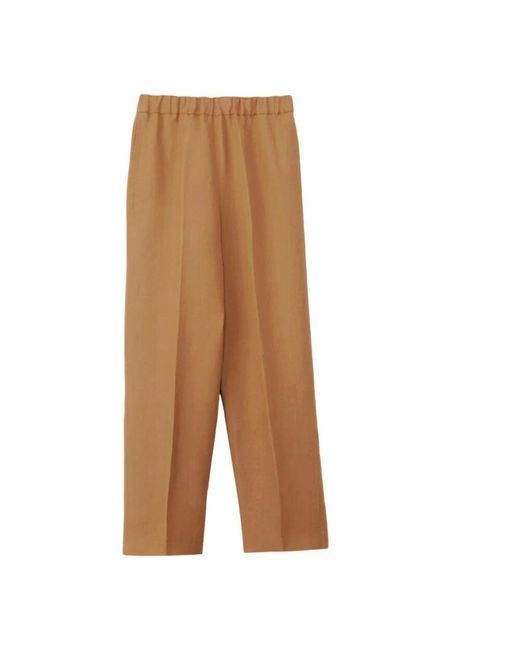 Trousers > wide trousers Fabiana Filippi en coloris Brown