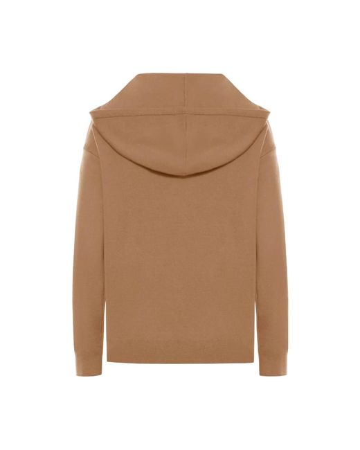 Max Mara Brown 'Sfinge' Hoodie