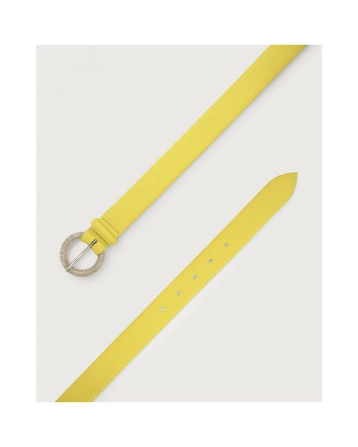 Orciani Yellow Belts
