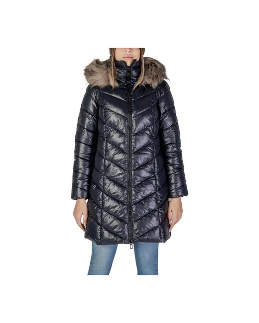 Winter Jackets ONLY de color Blue