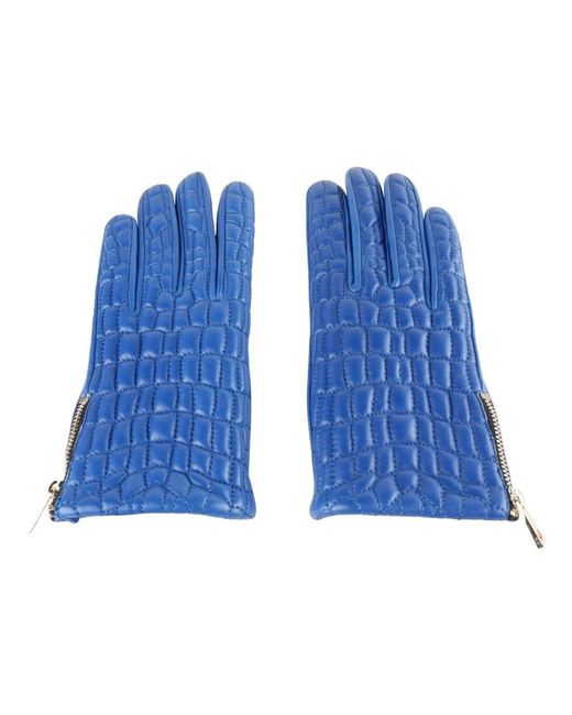 Class Roberto Cavalli Blue Gloves