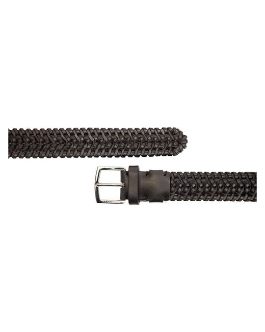 Dolce & Gabbana Black Belts