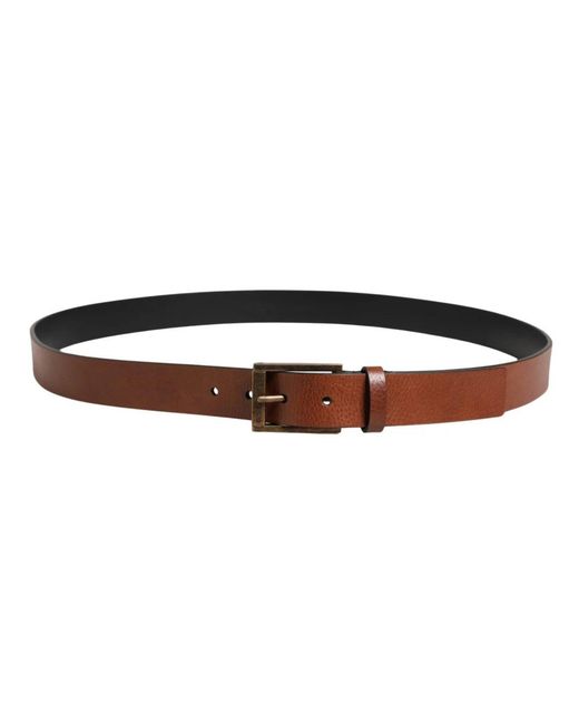 Dolce & Gabbana Brown Belts for men