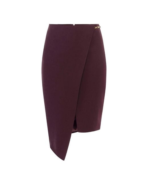 Elisabetta Franchi Midi Skirts in het Purple