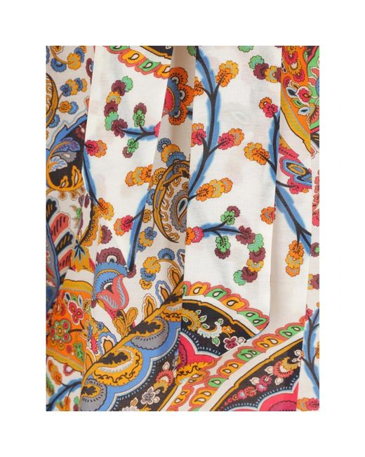 Etro V-Hals Sjaal Blouse in het Pink