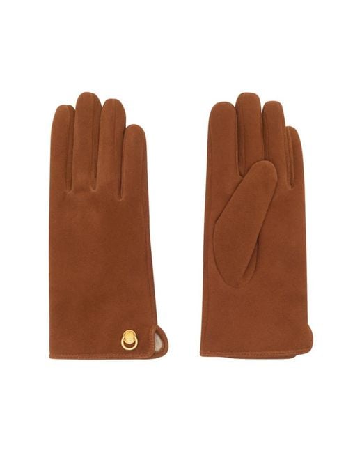Gianni Chiarini Brown Gloves