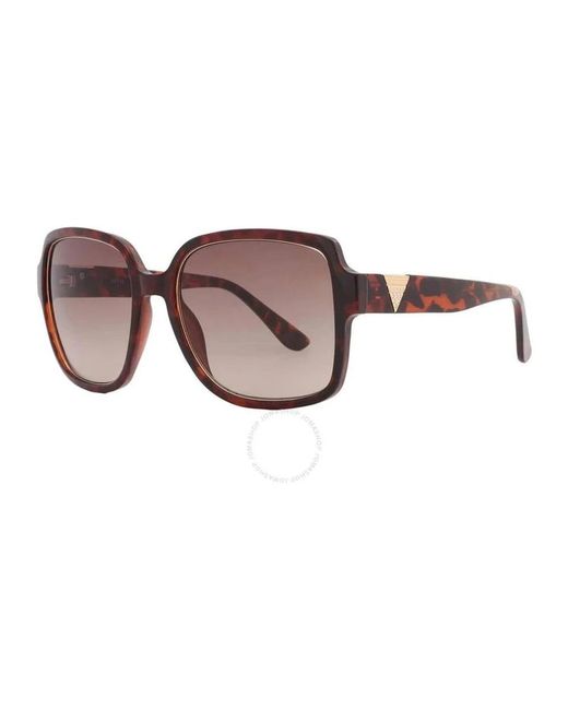 Sunglasses di Guess in Brown