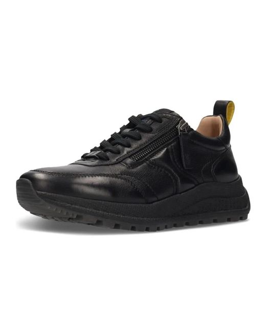 Salamander Black Sneakers