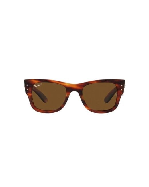 Ray-Ban Brown Sunglasses