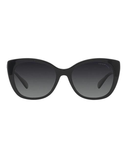 COACH Black Sunglasses