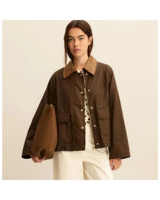 Winter Jackets Marella en coloris Brown