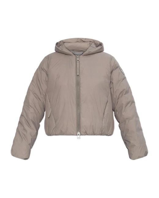 Canada Goose Jassen ,Grijs ,Elba Jacket in het Gray