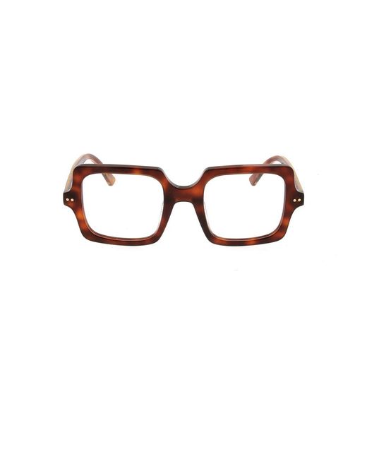 Marni Brown Glasses