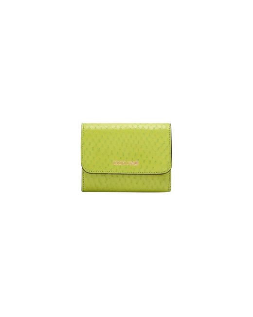 Wallets & Cardholders di Roberto Cavalli in Green