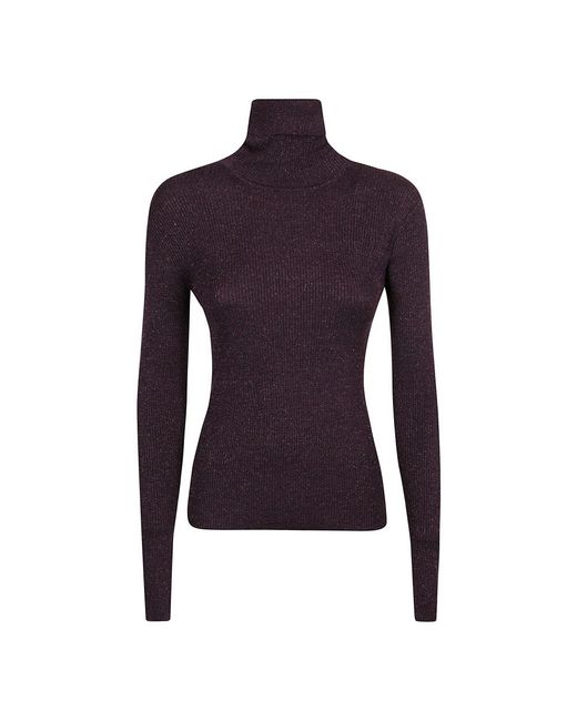 P.A.R.O.S.H. Truien & Vesten ,Zwart ,Wol Turtleneck in het Purple