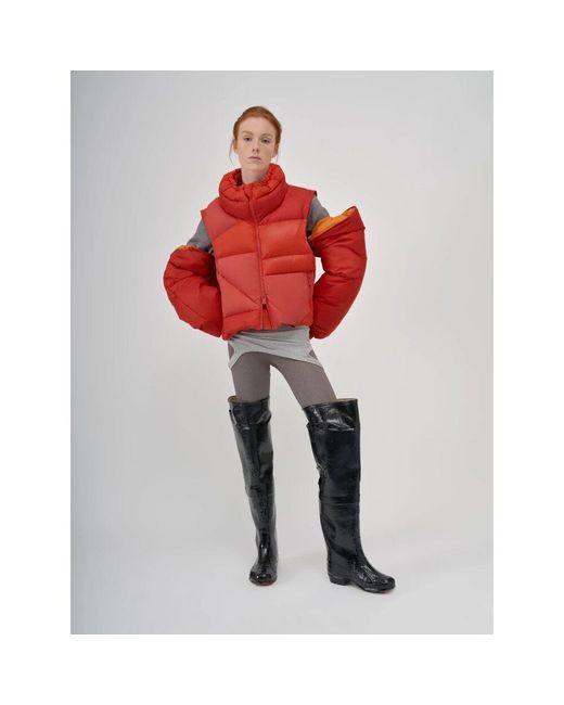 Bacon Red W adrien double b ptc
