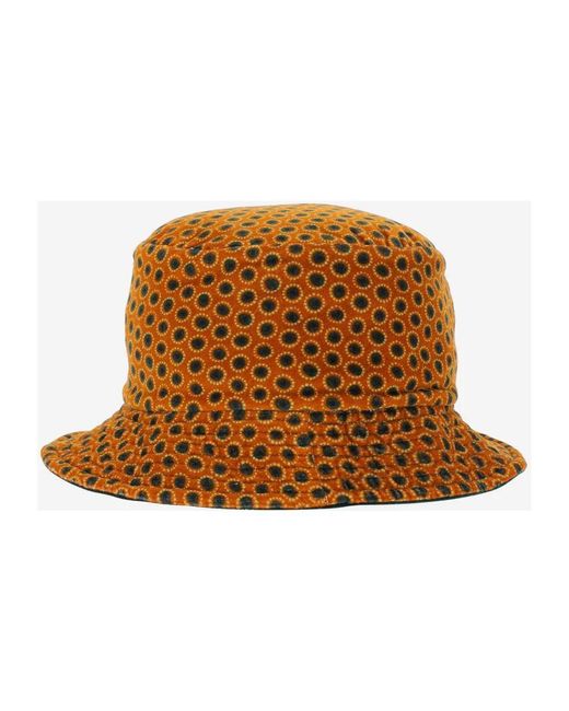 Hats Grevi de color Brown
