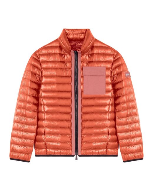 Down Jackets Add de hombre de color Orange