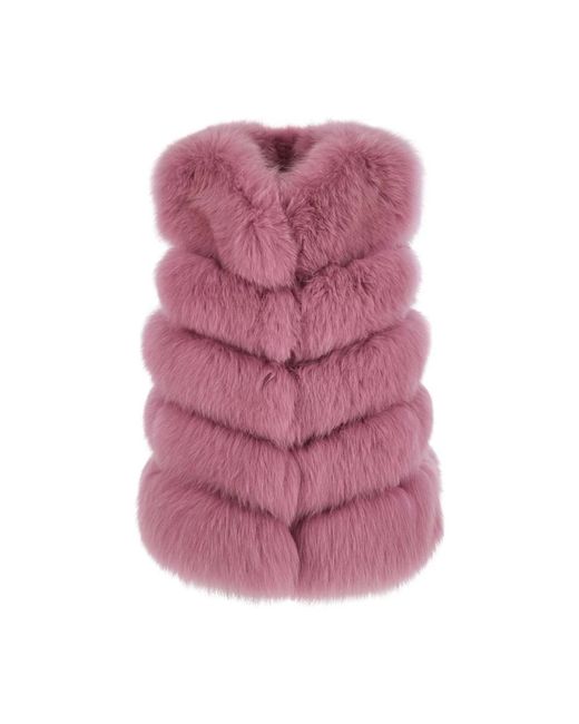 Suprema Hoge Kraag Bontvest in het Purple