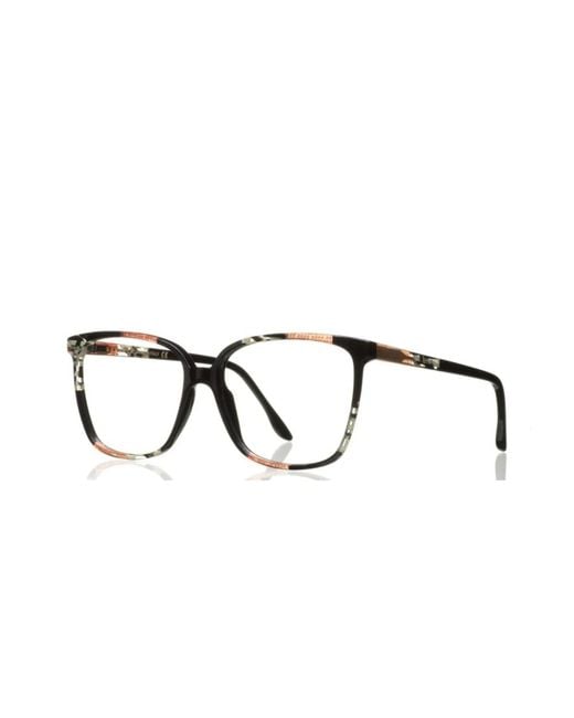 Lamarca Eyewear Brown Glasses