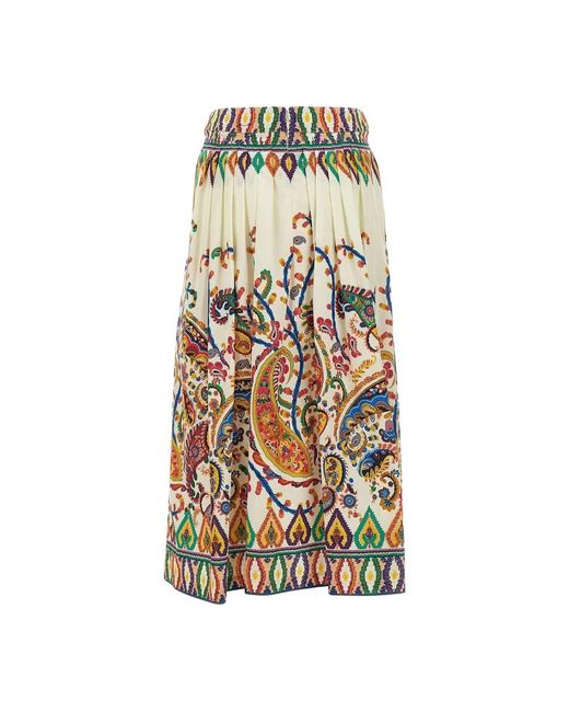 Etro Multicolor Midi Skirts