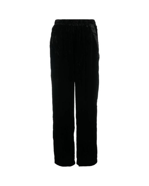 Gold Hawk Black Straight Trousers